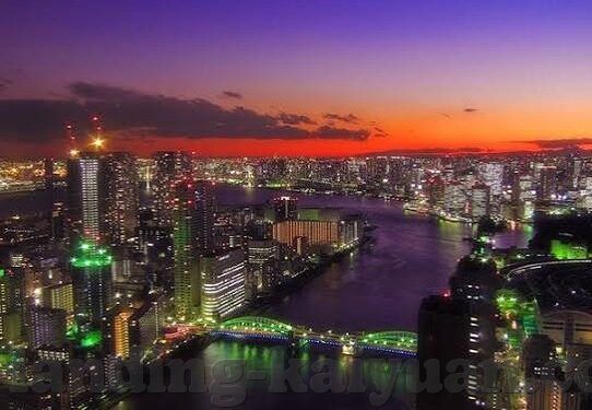 比利时队世界杯预测-比利时队，世界杯舞台上的黄金一代