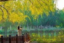 竞选足球胜负比分直播-揭秘竞选足球胜负比分直播，一场数据与激情的盛宴